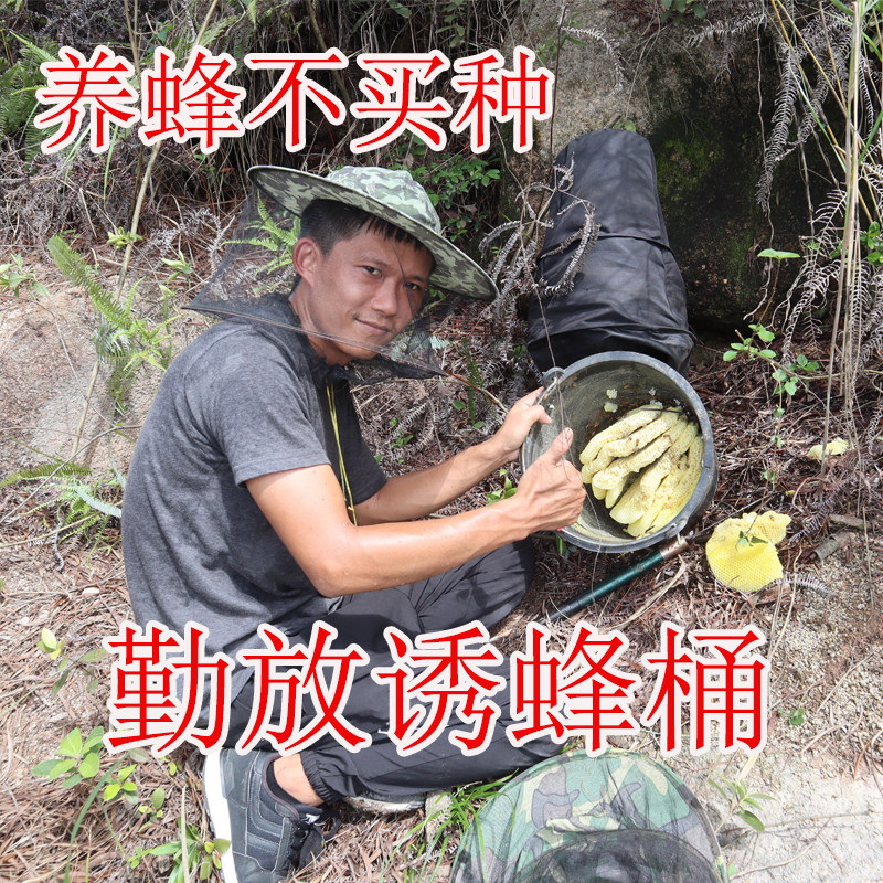 4个装 诱蜂桶黑色塑料桶收蜂笼招蜂水/诱蜂蜡