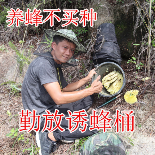4个装 诱蜂桶黑色塑料桶收蜂笼桶野外捕捉蜜蜂养蜂桶引蜂箱中蜂蜡
