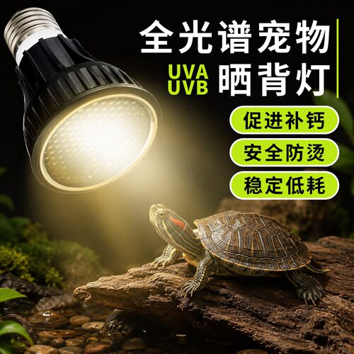 爬宠补钙全光谱晒背灯防烫低耗
