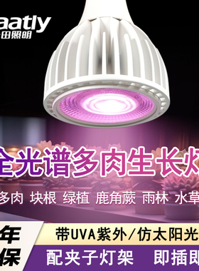 多肉补光灯全光谱Led植物生长灯仿太阳粉光室内智能草莓番茄花卉
