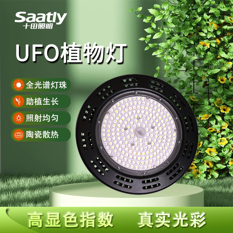 阳台防水植物补光灯十田绿植