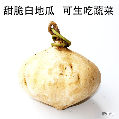 新鲜江西赣南现挖凉薯