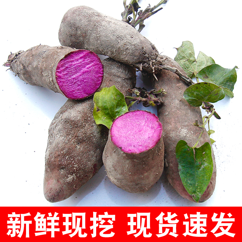 2025现挖新鲜紫山药江西脚板薯