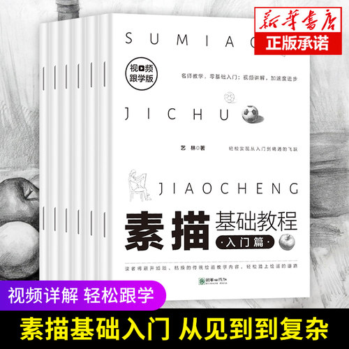 素描基础教程入门素描6册全套 零基础入门初学临摹教材书自学起步石膏几何体单体静物结构人物头像铅笔绘画画册美术技法的诀窍