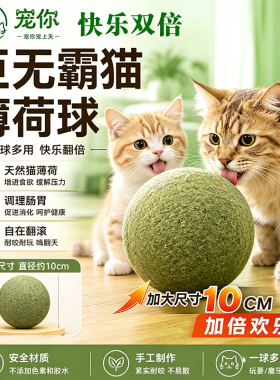 巨无霸猫薄荷球猫咪自嗨玩具磨牙棒洁齿木天蓼逗猫棒宠物零食玩具