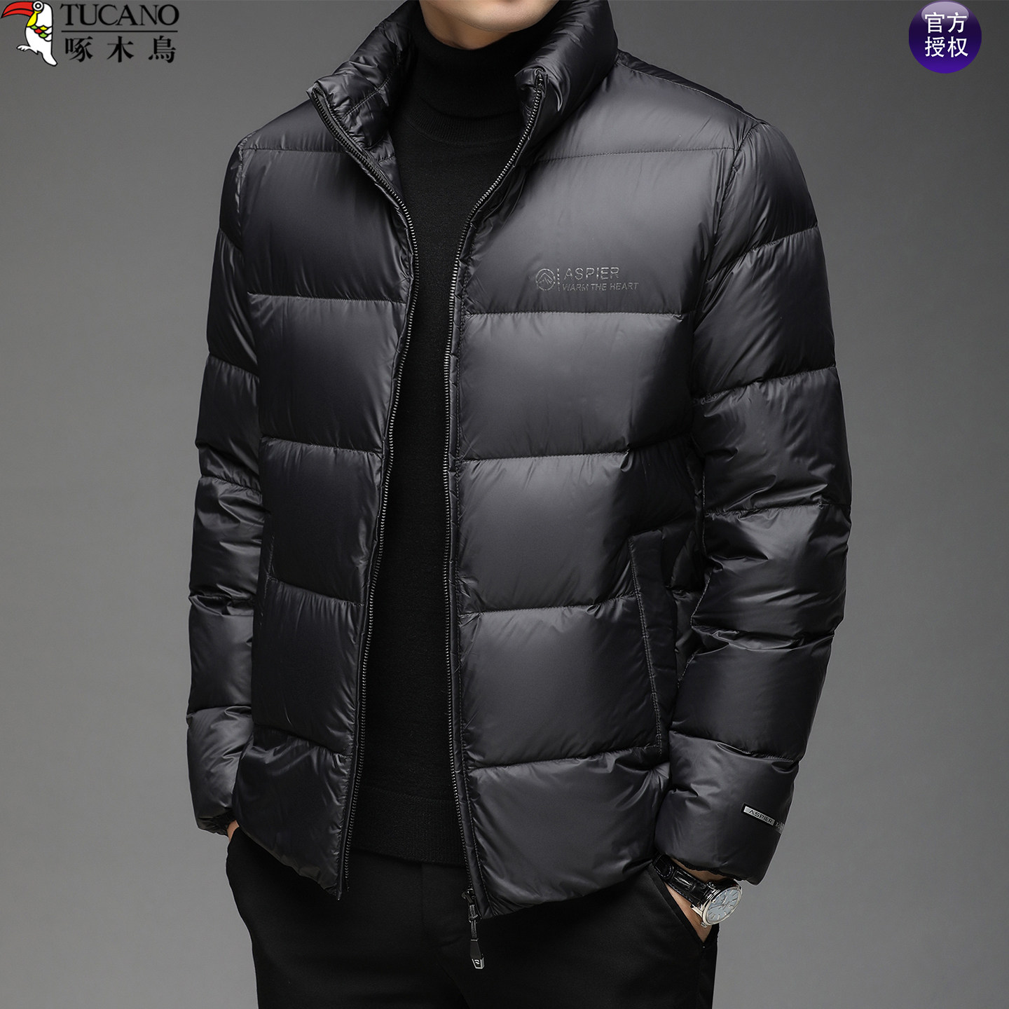 啄木鸟中年男士商务立领羽绒服