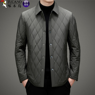 啄木鸟男士 棉服 棉衣外套商务中年休闲轻薄保暖棉袄翻领夹克爸爸装