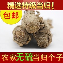 非野生当归个新鲜岷县全归粉党参黄芪茶非500克当归 当归500g 包邮