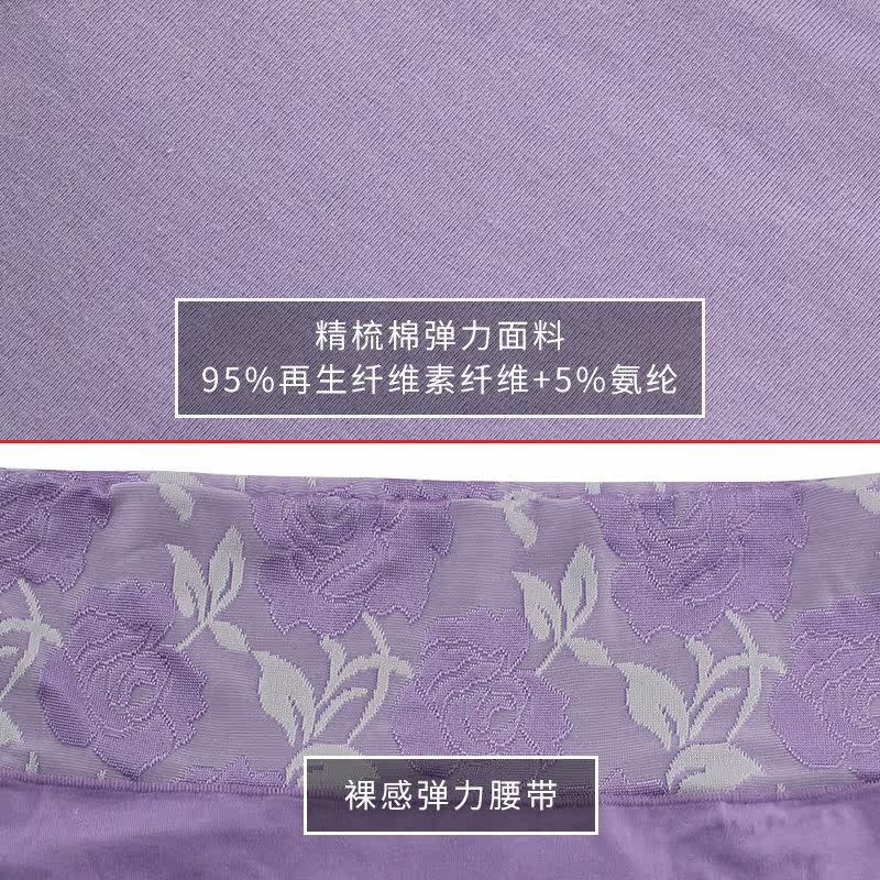 Slip jeunesse NJR1566S en coton - Ref 640150 Image 3