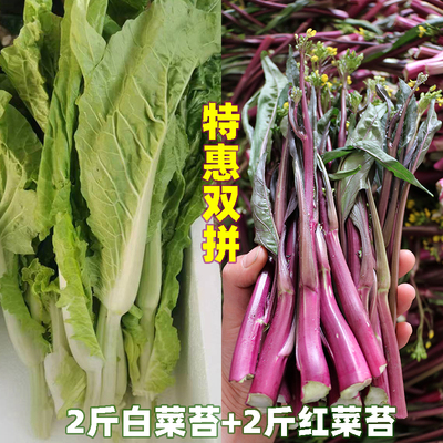 2斤打霜白菜苔+2斤打霜红菜苔