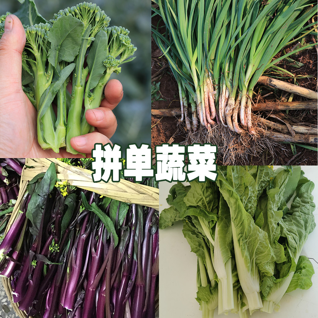 湖北露天时令蔬菜新鲜红菜苔白菜苔西兰苔大蒜苗现摘打霜蔬菜组合,水产肉类/新鲜蔬果/熟食,叶菜类,淘宝优惠券,粉丝福利购,淘宝优惠卷