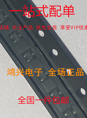 原装正品 RN1101 全新 实图可直拍