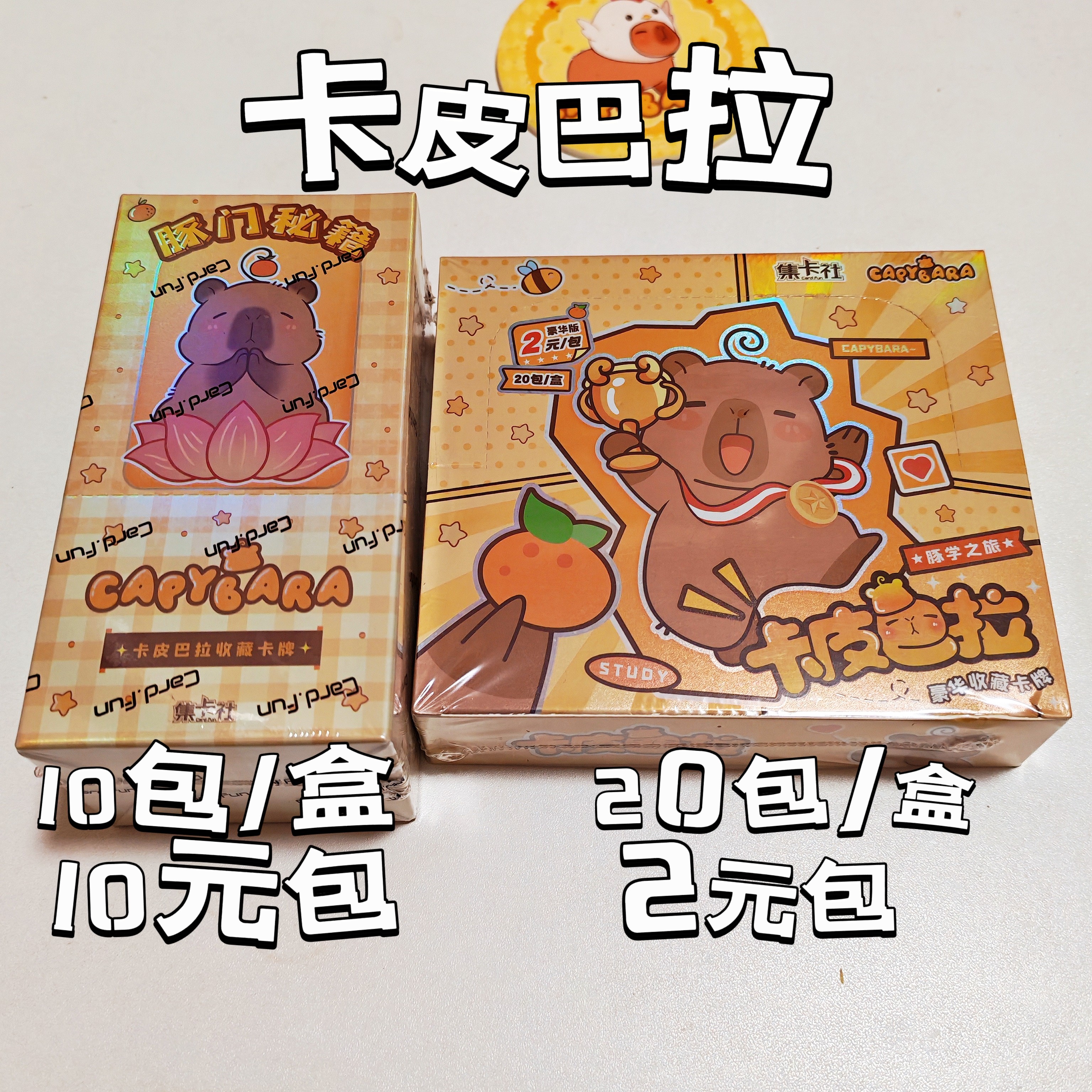 集卡社正版卡皮巴拉卡片原创动漫形象收藏卡片豚学之旅水豚门秘籍