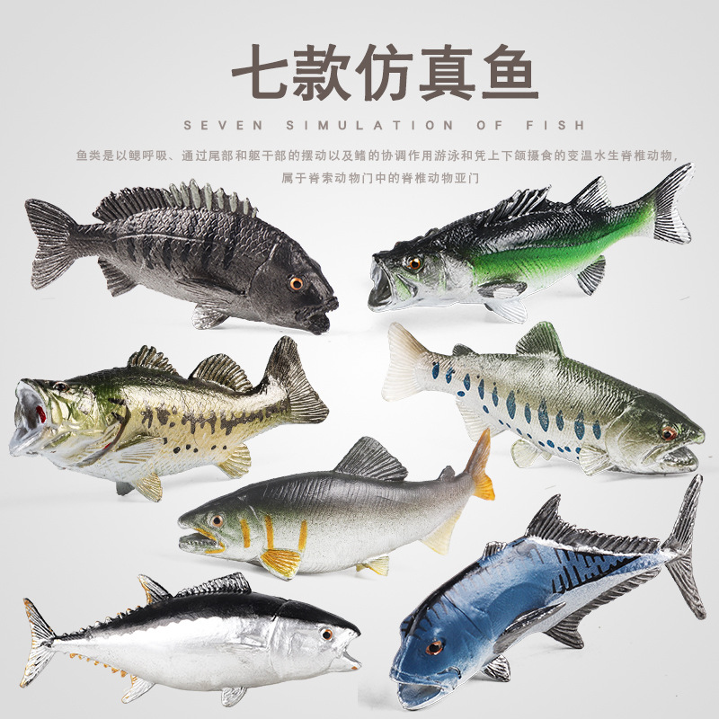 仿真鱼类鲑鱼大马哈鱼金枪鱼造景
