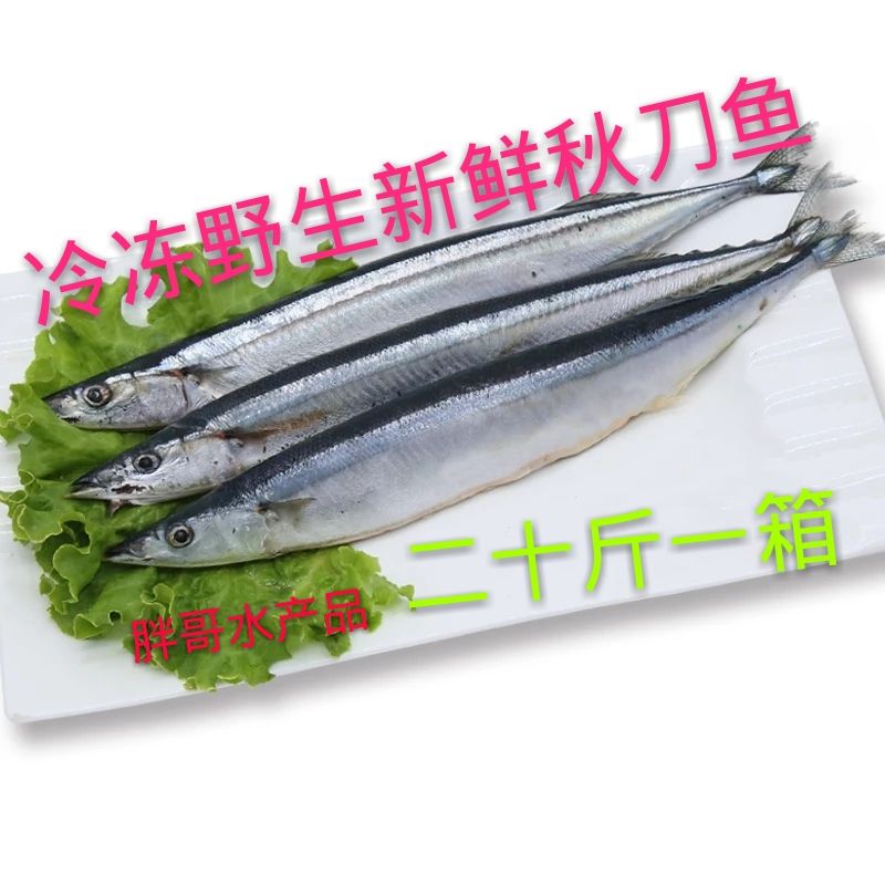 冷冻深海新鲜 秋刀鱼 刀鱼 小头鱼 烧烤食材一箱二十斤  近可包邮