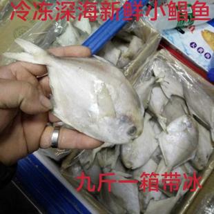 冷冻深海新鲜 鲳鱼 燕子鱼 小白鲳 银鲳鱼 九斤一箱 近可包邮