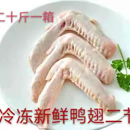 冷冻新鲜 鸭翅膀 二节翅 大翅 炖卤食材 二十斤一箱近可包邮
