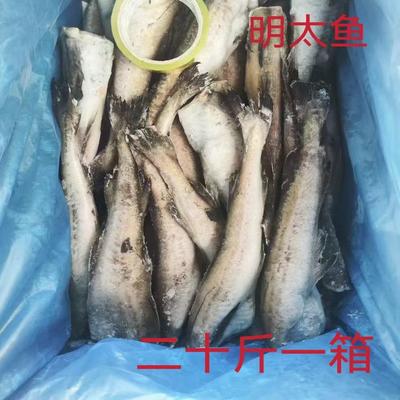 冷冻深海明太鱼新鲜无头鱼