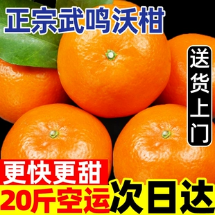正宗广西武鸣沃柑10斤新鲜水果当季 整箱批发20皇帝砂糖蜜橘甜桔子