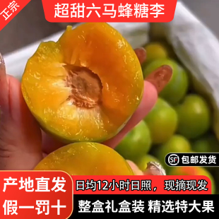 正宗贵州安顺镇宁六马蜂糖李脱骨李子新鲜水果现摘现发礼盒装5斤
