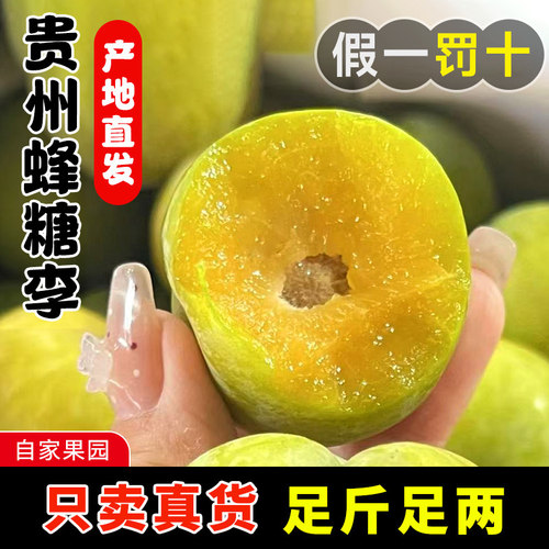 贵州蜂糖李脱骨新鲜水果现摘现发