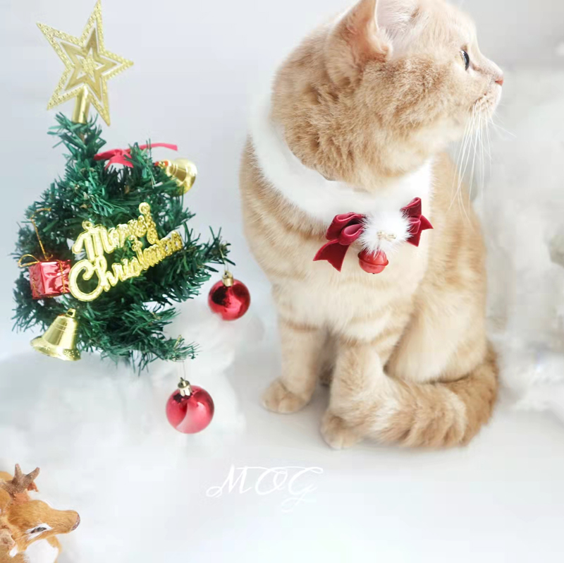 MOG白绒绒新年宠物项圈猫咪狗小型犬拍照围巾铃铛圣诞饰品幼猫