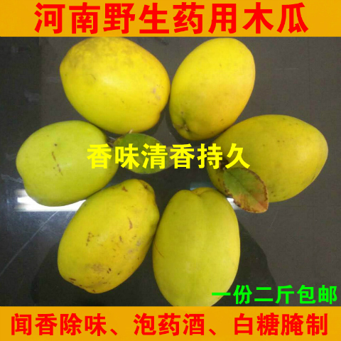 河南北方野生闻香木瓜药用木瓜车内室内除味河南宣木瓜泡药酒煮菜