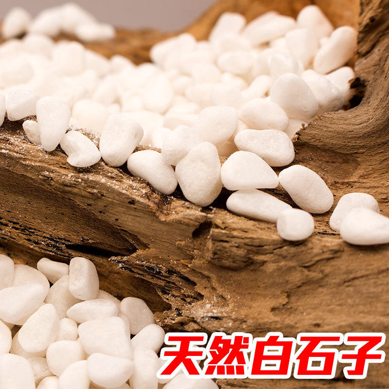 天然白色小石子铺面石鹅卵石多肉其它园艺用品