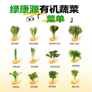 绿康源有机蔬菜包自选蔬菜任选6斤8斤真有机健康无负担有机码齐全