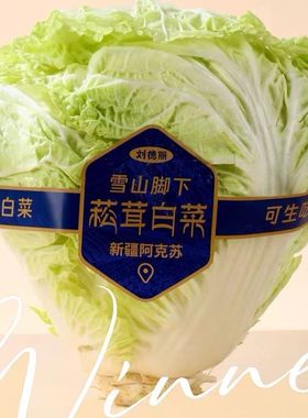 【0农残】新疆菘茸白菜雪山水灌溉鲜甜白菜欧盟SGS533项检测高品