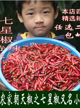 重庆特产朝天椒超辣四川干辣椒