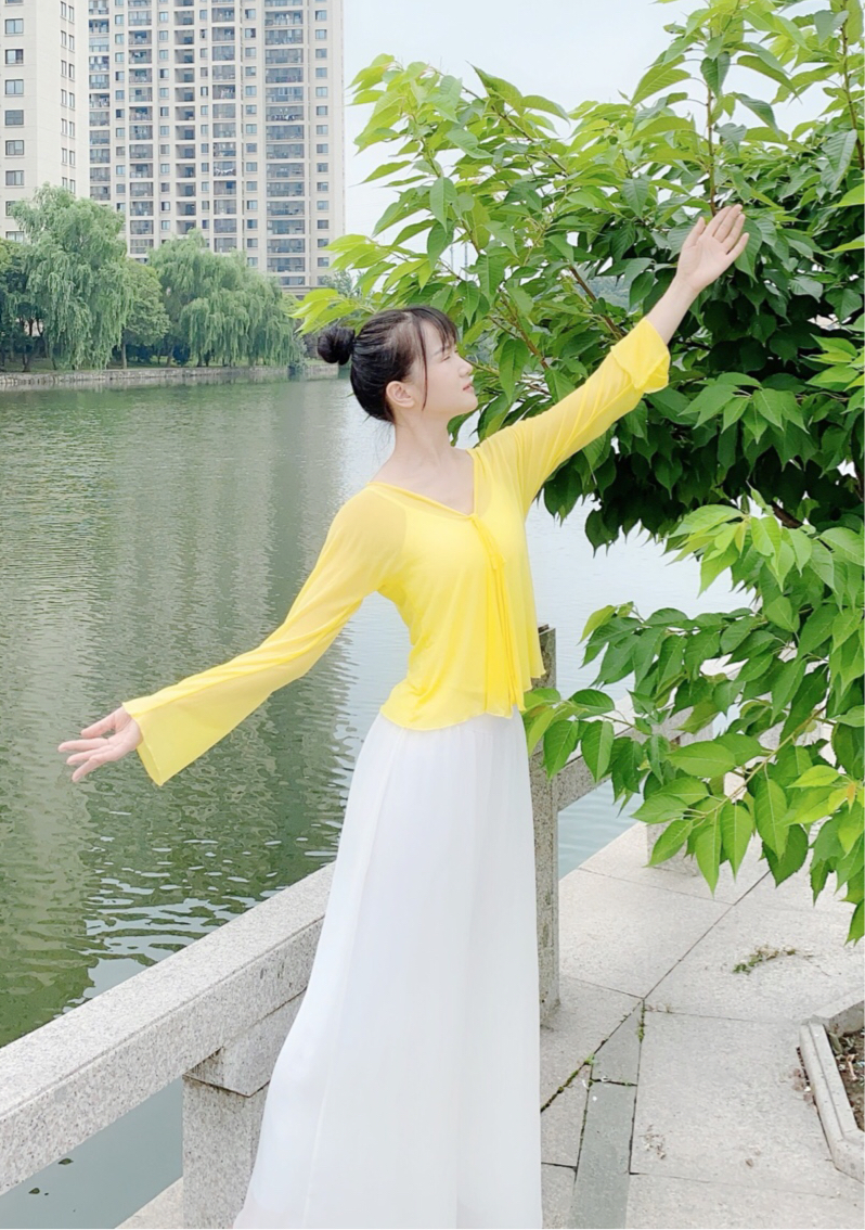 【丁姐姐力推】古典舞舞韵广场舞