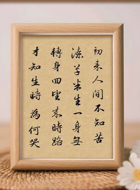 初来人间不知苦励志摆件相框装饰画办公室桌面摆台字画摆件挂画