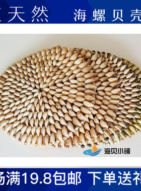 天然海螺贝壳杯垫碗垫盘垫家居布置特色工艺品手工装饰品摆件