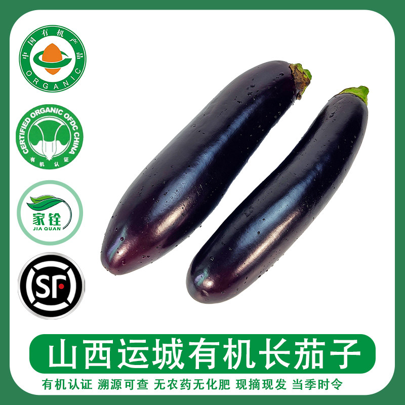 山西运城有机长茄5斤 新鲜现摘紫茄子无农药当季蔬菜