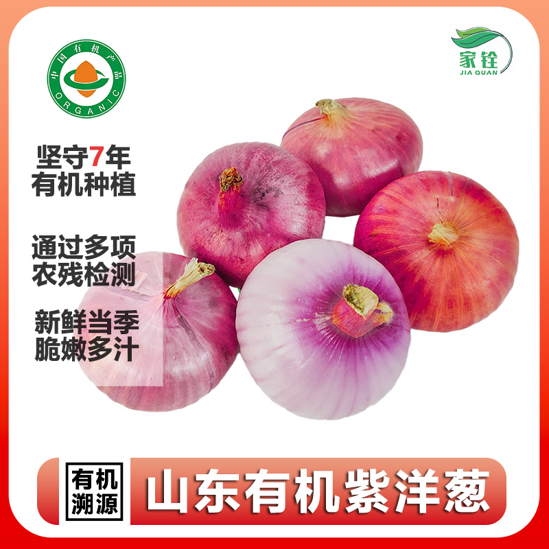 有机紫皮洋葱无农药新鲜当季脆嫩