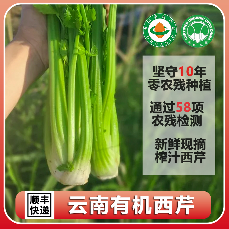 云南高原有机西芹4.5斤新鲜现摘无农药榨汁西洋芹沙拉炒菜带叶发 水产肉类/新鲜蔬果/熟食 其它 原图主图