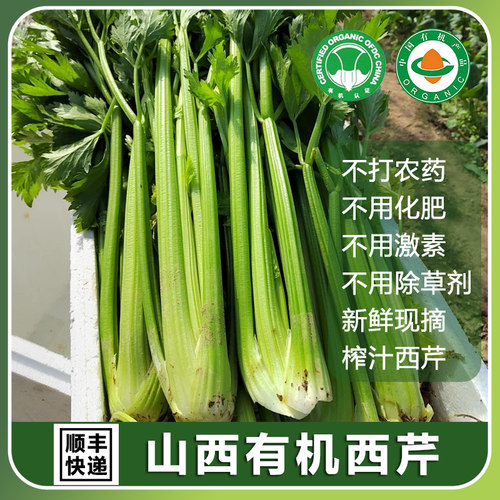 有机认证榨汁西芹不打农药新鲜