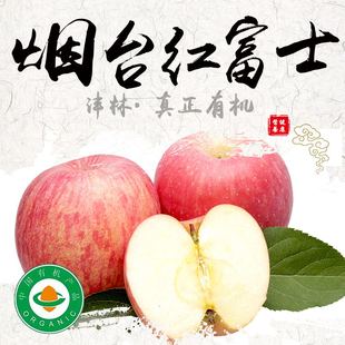 山东栖霞有机红富士苹果脆甜多汁无农药不打蜡表皮瑕疵孕妇水果