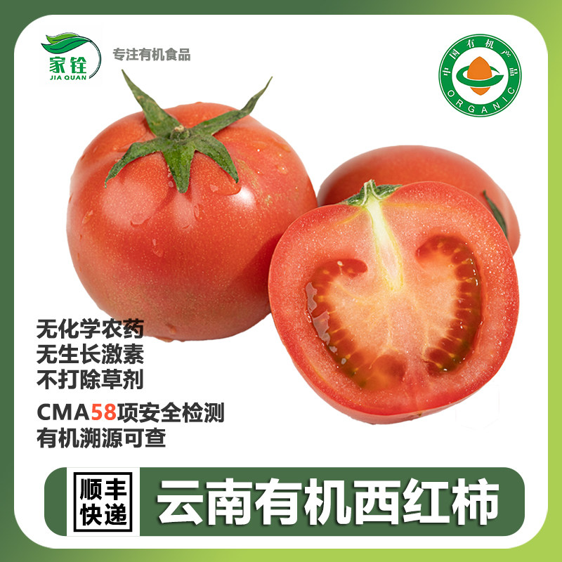 云南有机大番茄5斤 新鲜现摘西红柿炒菜烹饪香甜多汁不打农药少籽