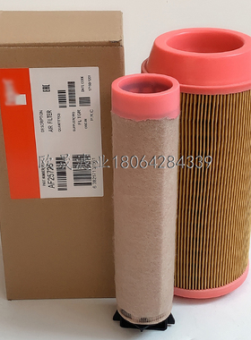 AF25725 AF26387 RS3990 E1500L C11100 P778979 01319141空滤芯