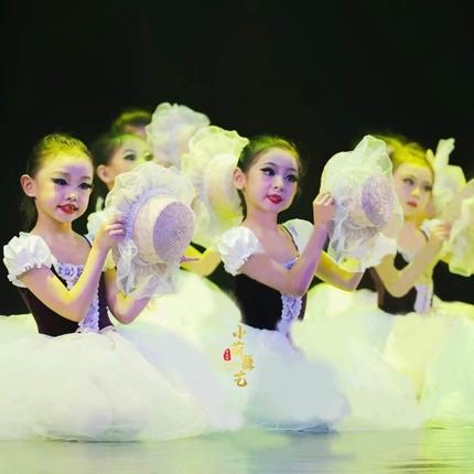 童话梦想家儿童演出服帽子公主舞蹈服装珍妮公主的梦可爱蓬蓬纱裙