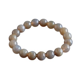 千蕊天然珊瑚玉手链珊瑚化石手串菊花石玉化好冰透实物玉髓