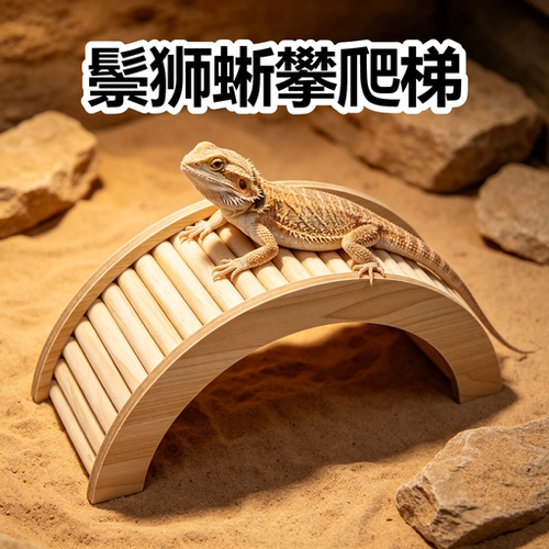 鬃狮蜥攀爬爬梯玩具拱桥肥尾豹纹睫角蜥蜴专用饲养缸丰荣造景装饰