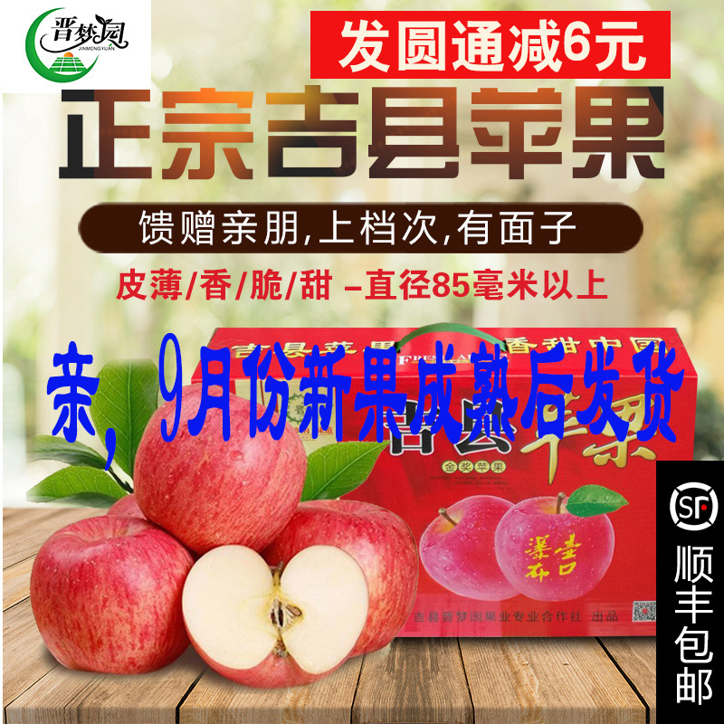 9月发货山西特产水果吉县壶口红富士苹果香脆甜多汁非静宁阿克苏
