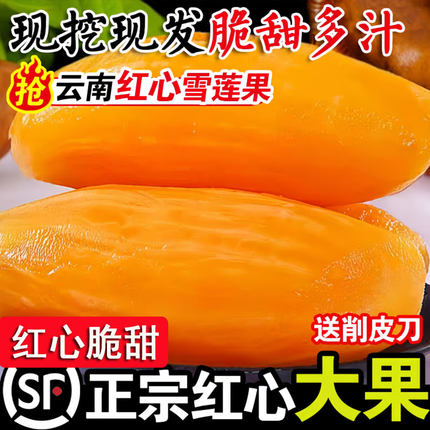 雪莲果新鲜水果黄心特级9斤整箱云南天山红泥沙当季一级大果脆甜