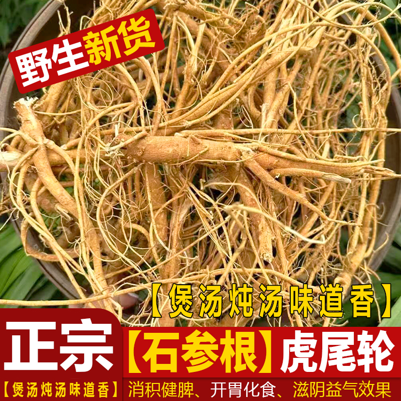 福建野生虎尾轮根煲汤炖汤中药材