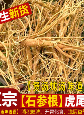 福建野生虎尾轮根煲汤炖汤中药材