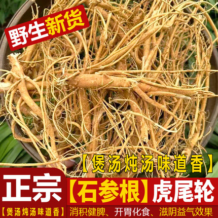 福建野生虎尾轮根野生石参根新鲜晒干石参根 煲汤 炖汤食材中药材