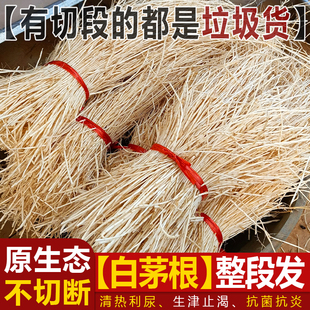 100%无硫白茅根晒干整段毛根茅草根白茅根干500g非野生降火中草药